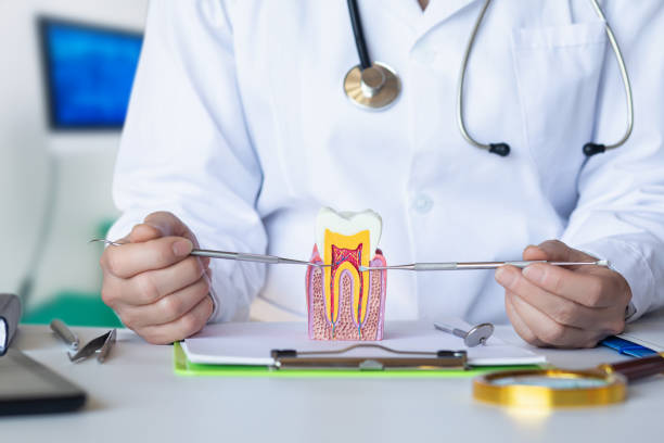 Best Emergency TMJ Treatment in James City, NC